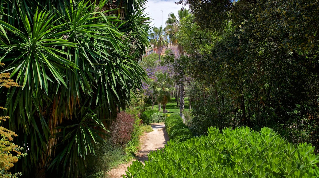 Parque de Benicalap