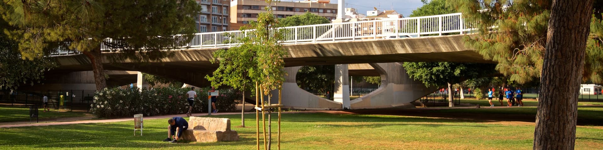Puente de las Artes which includes a bridge and a garden