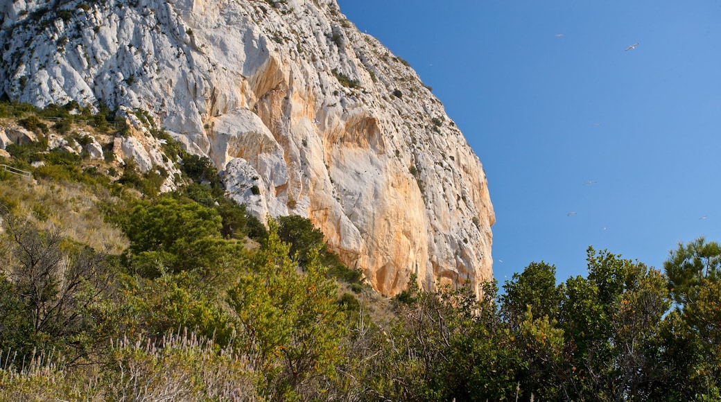 Penyal d'Ifac naturpark