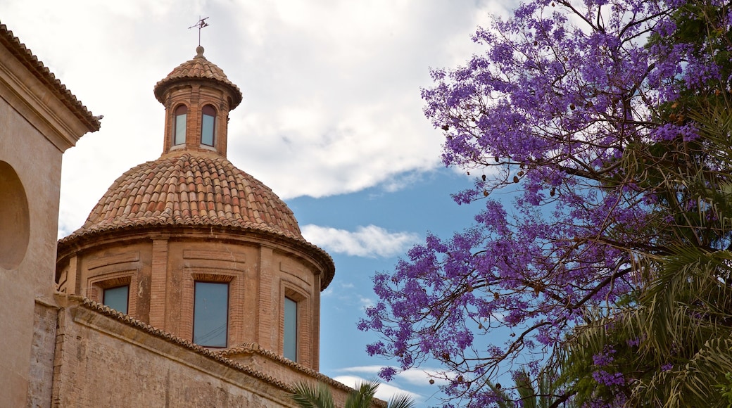 Plaza del Carmen featuring heritage elements and wildflowers