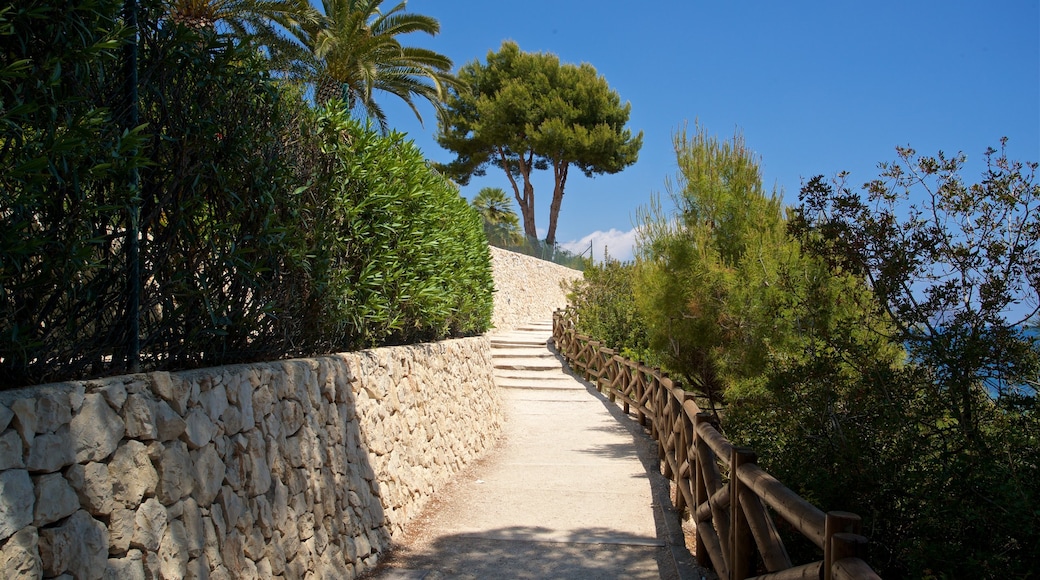 Benissa Coast showing a park