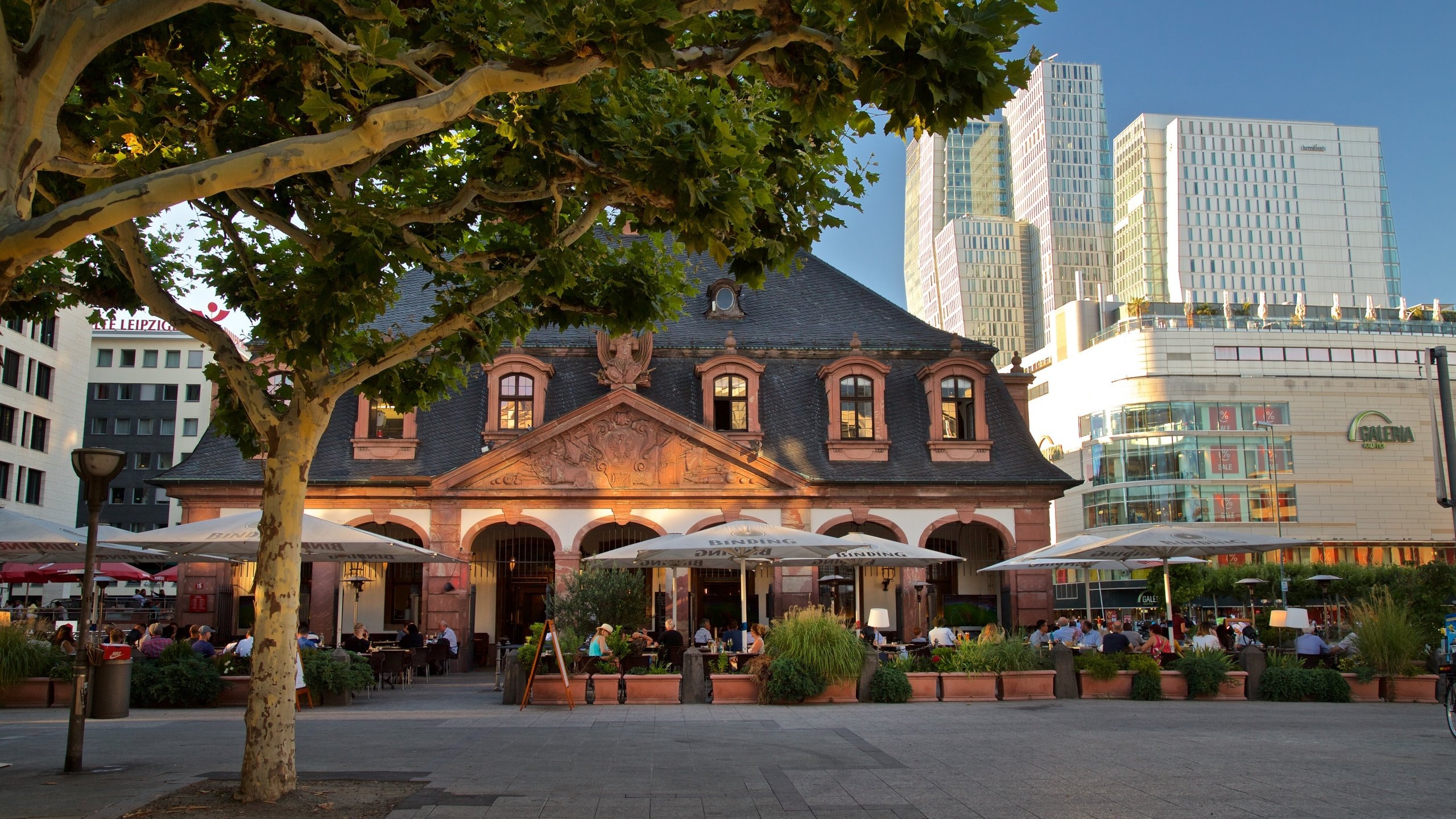 Ferienwohnung Zeil Ferienhäuser & mehr FeWodirekt