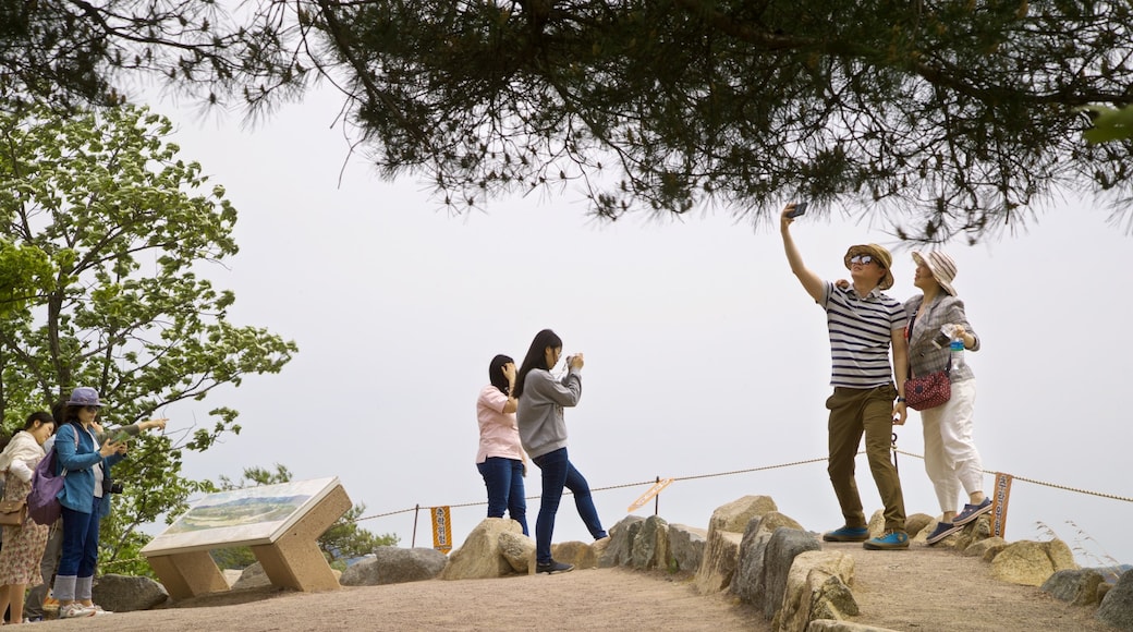 Buyongdae Cliff which includes views as well as a small group of people