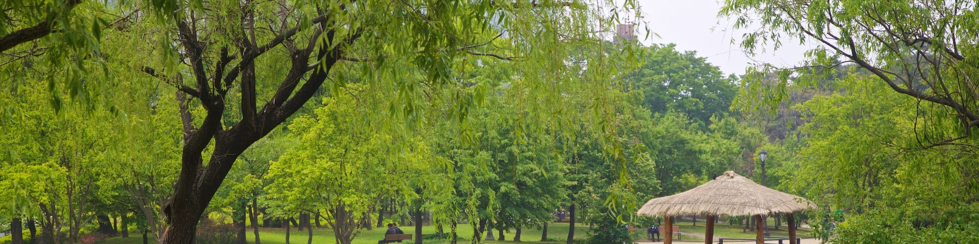 Yeouido Park which includes a park and a pond