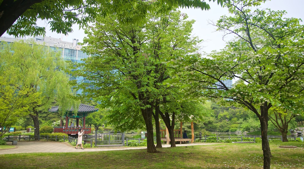 Ökologischer Park Yeouido Saetgang