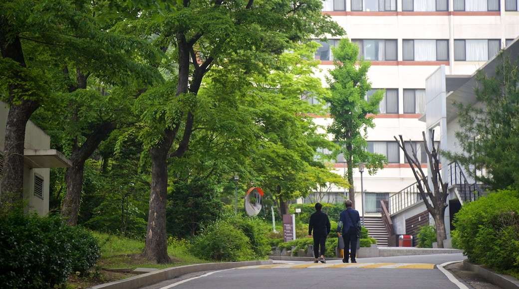 Seoul National University which includes street scenes as well as a couple