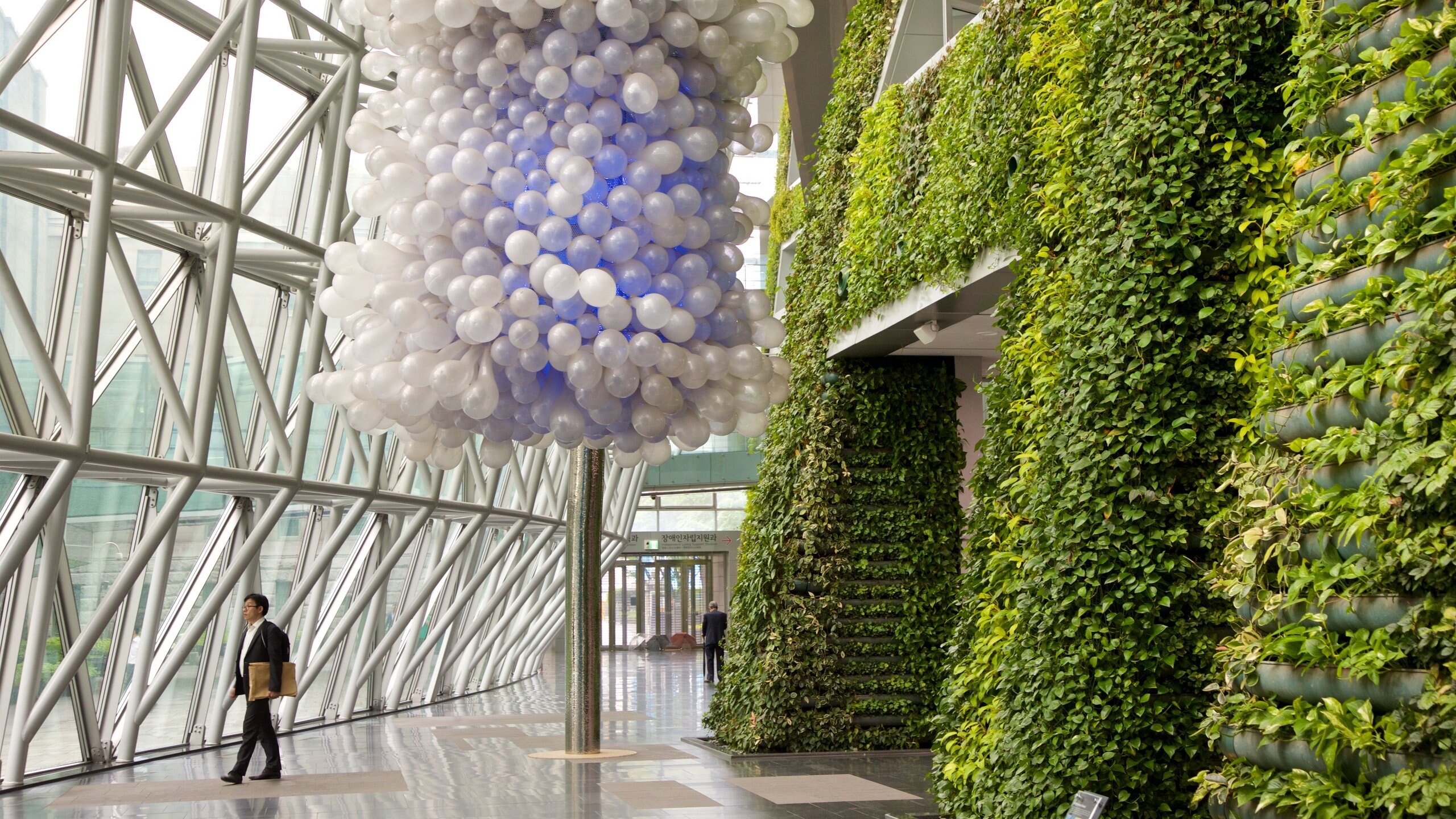 Municipio di Seul a Quartiere di Myeongdong Tour e Visite Guidate