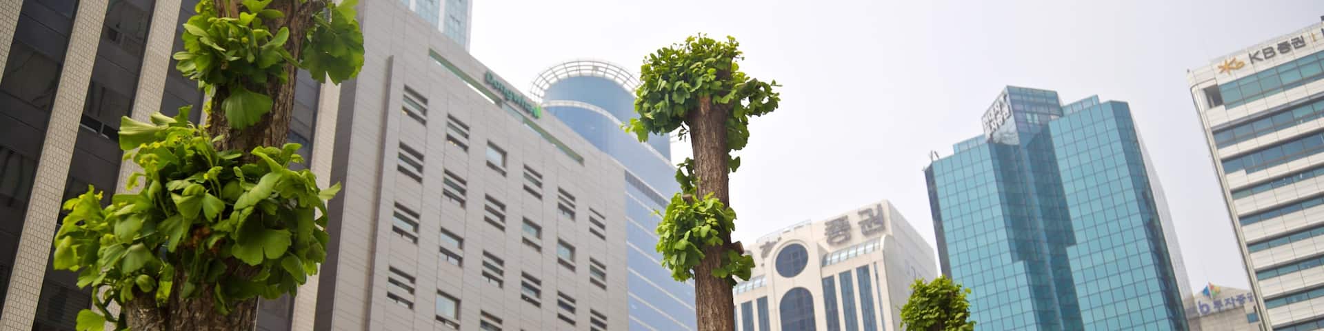 Yeouido showing mist or fog and a city