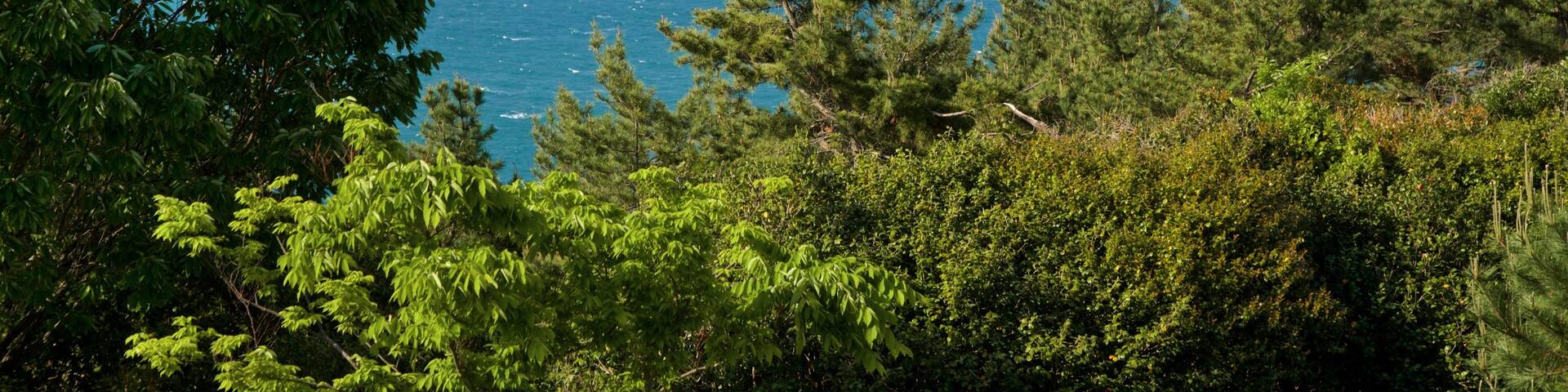 Hallyeo-haesang National Park which includes landscape views, island views and general coastal views