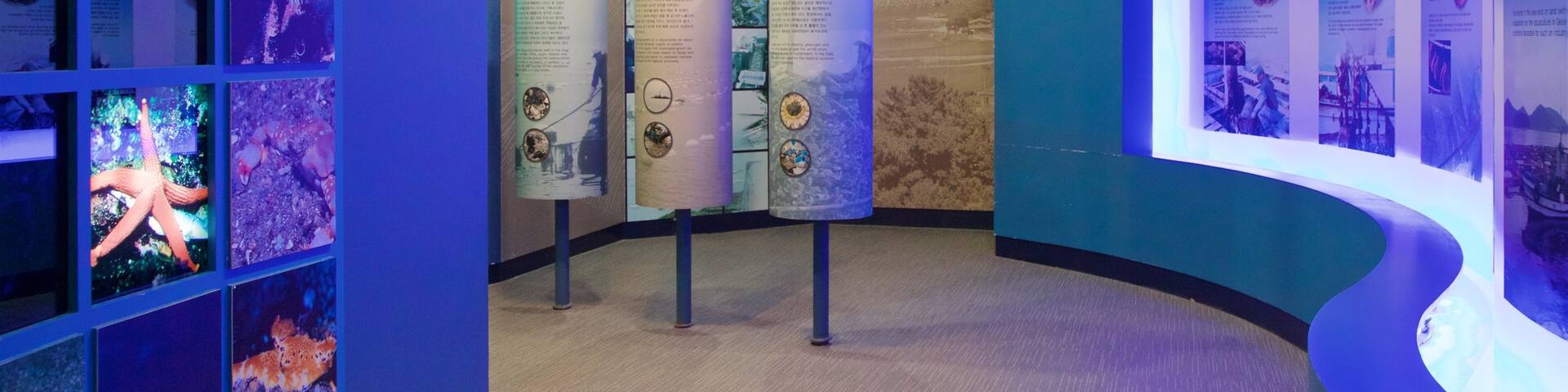 Geoje Sea Village Folk Museum which includes interior views and marine life