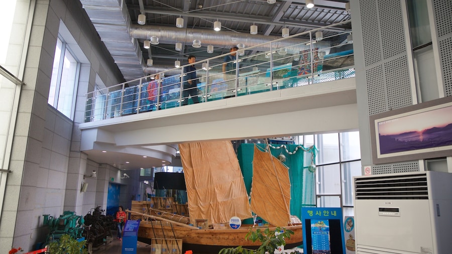 Tongyeong Fisheries Science Museum which includes general coastal views and interior views