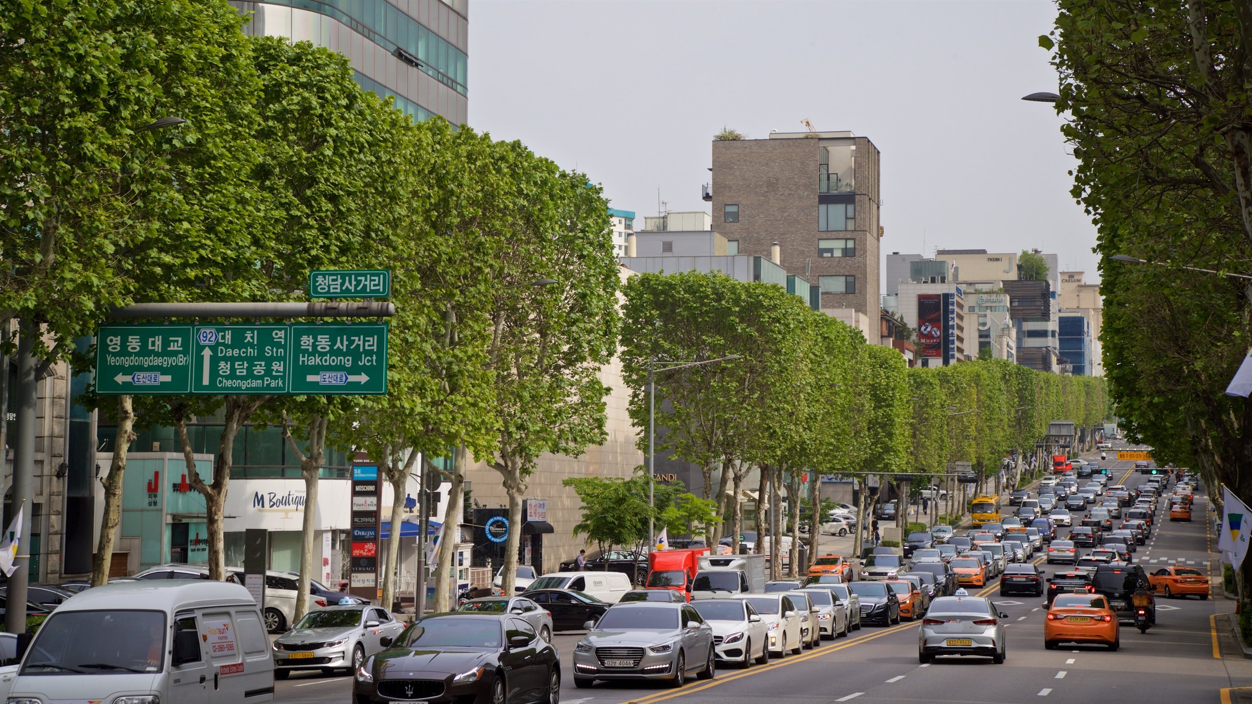 Cheongdam which includes a city