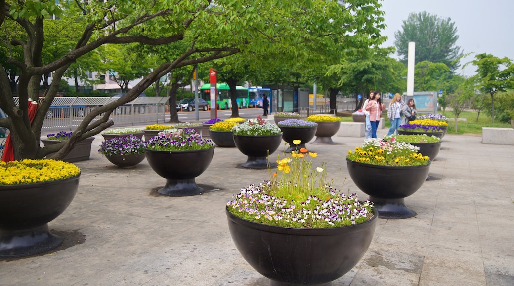 Yeouido-dong