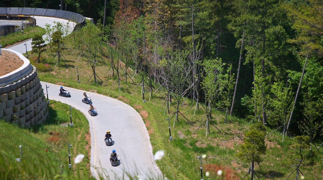 Skyline Luge Tongyeong as well as a small group of people