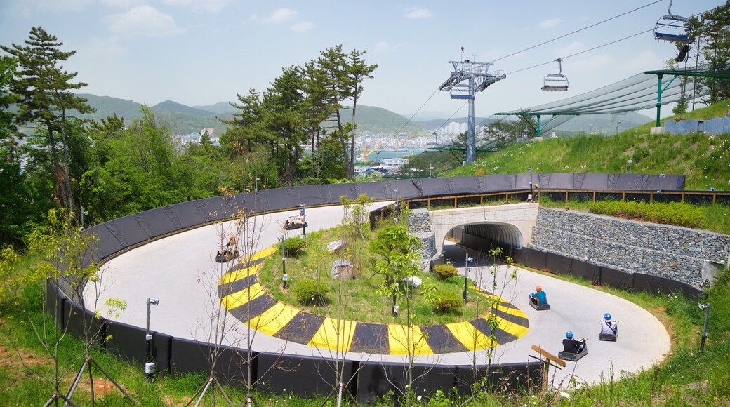 Skyline Luge Tongyeong as well as a small group of people