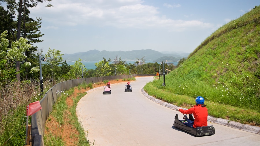 Skyline Luge Tongyeong as well as a small group of people
