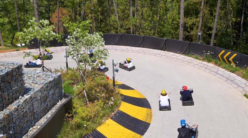 Skyline Luge Tongyeong as well as a small group of people