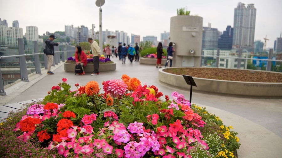 Parque lineal elevado Seoullo 7017