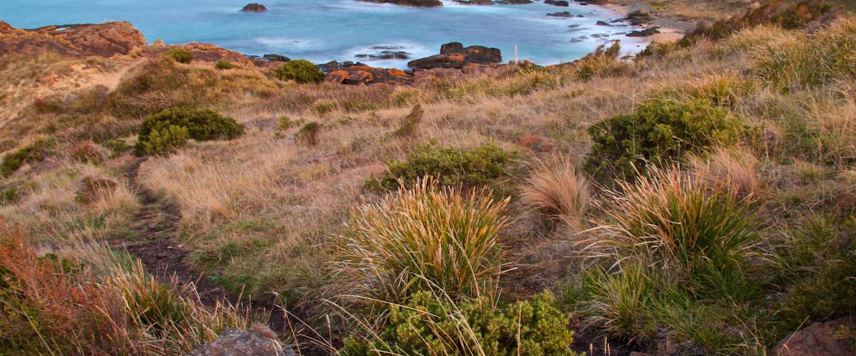 Swansea featuring landscape views, rugged coastline and general coastal views