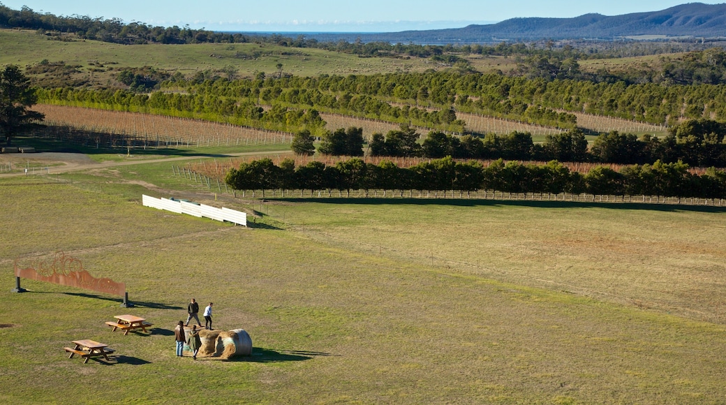 Devil's Corner Cellar Door