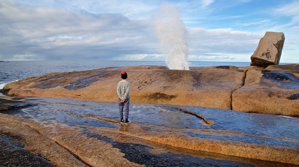 Geyser maritime de Bicheno