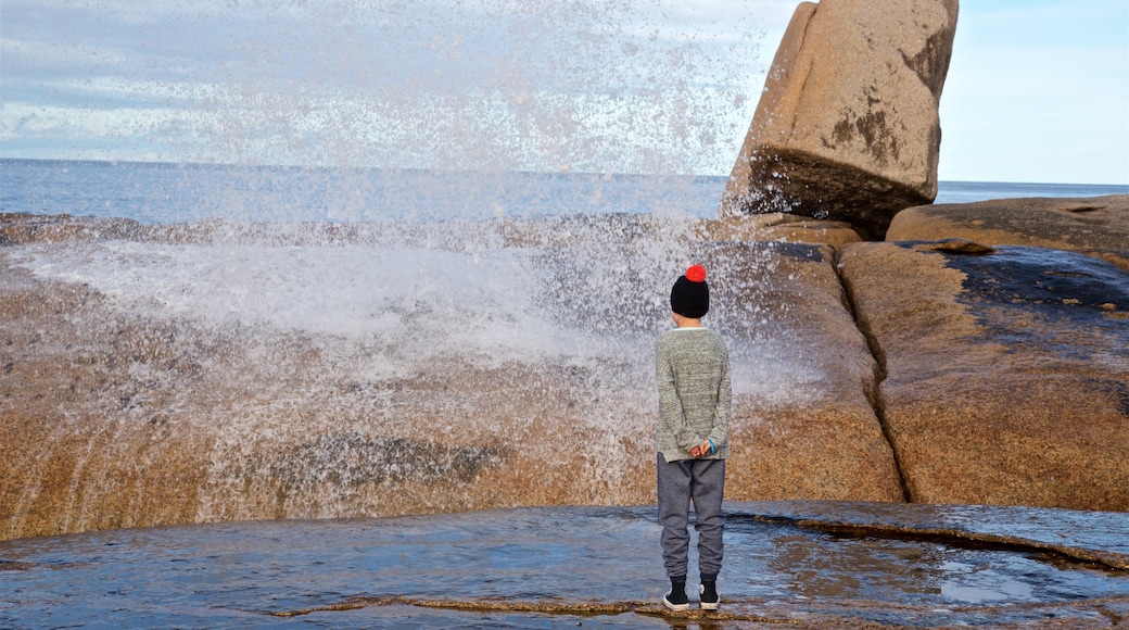 Geyser maritime de Bicheno