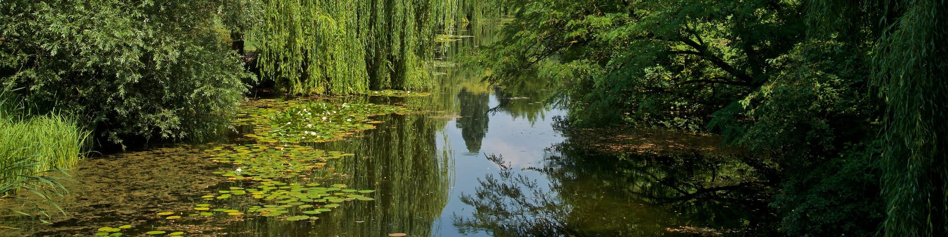 Citadelle Park which includes a river or creek