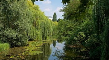 Citadelle Park which includes a river or creek