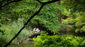 Botanical Gardens featuring picnicing and a river or creek as well as a couple