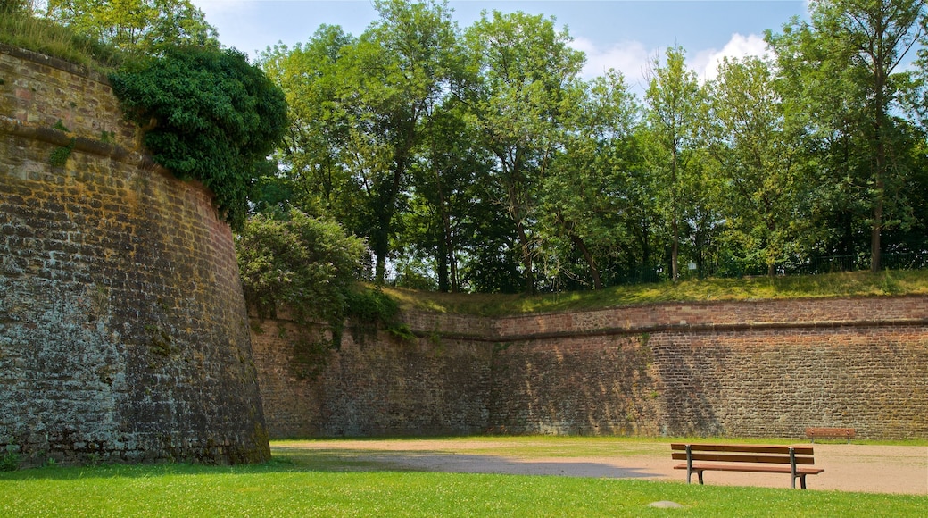 Citadelle Park which includes a garden