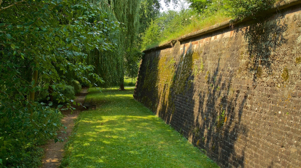 Parque Citadelle