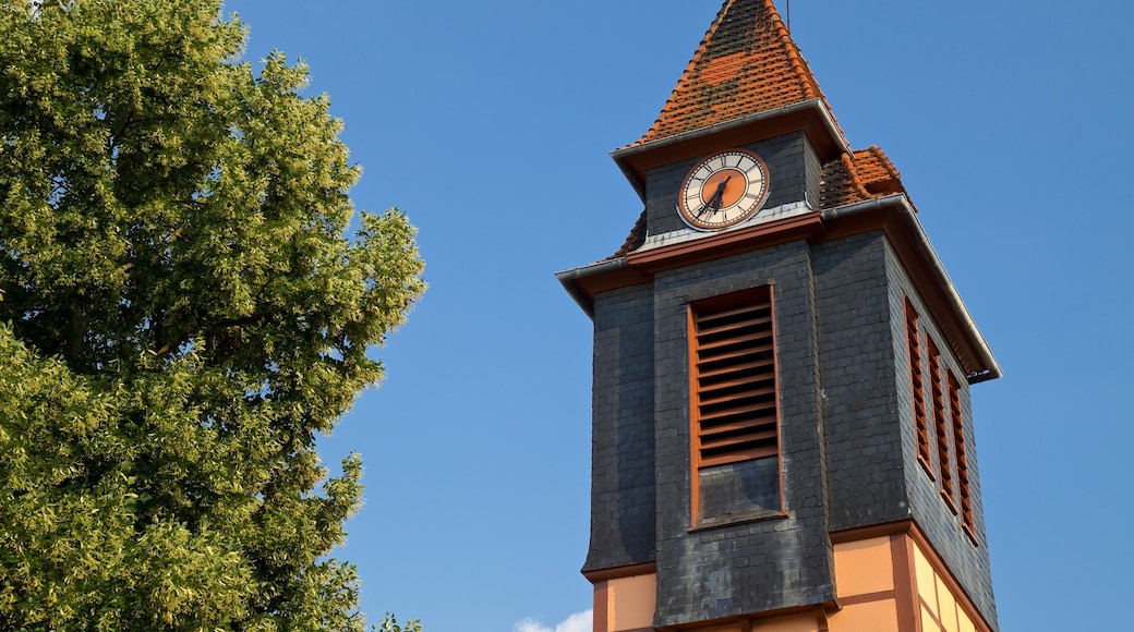 Parc de PourtalĂšs