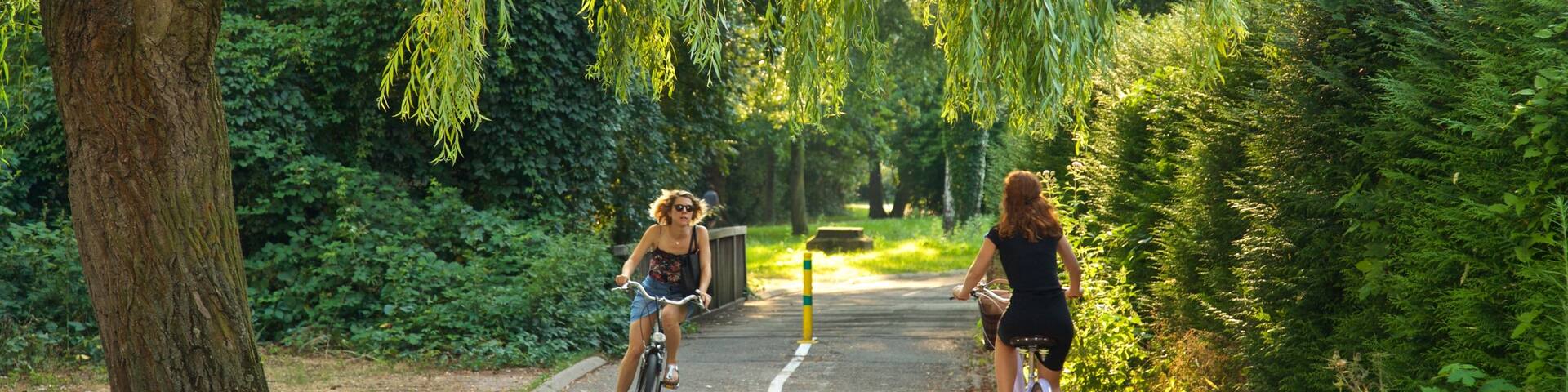 Robertsau which includes a park and cycling as well as an individual femail