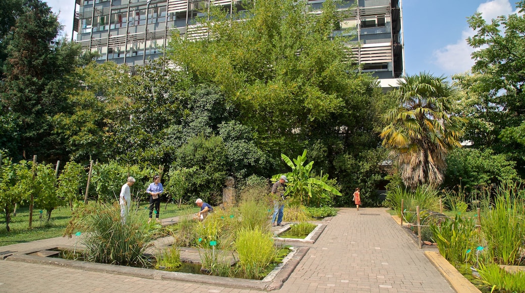 Botanical Gardens showing a park as well as a small group of people