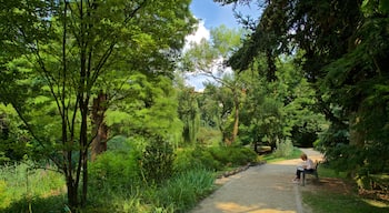 Botanical Gardens which includes a park as well as an individual femail