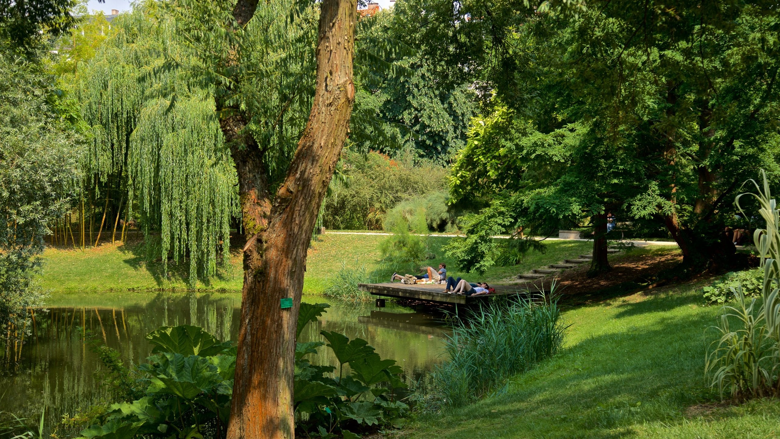 Botanical Gardens which includes a garden and a lake or waterhole as well as a small group of people