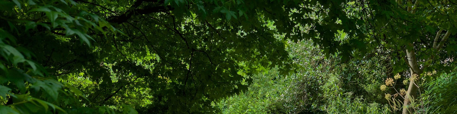 Botanical Gardens featuring a garden