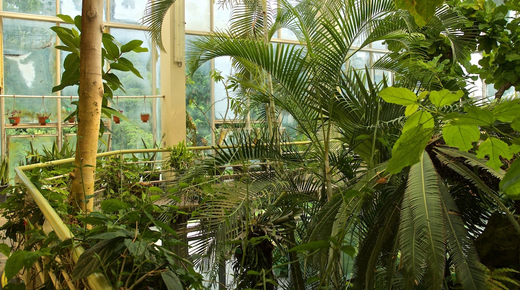 Botanical Gardens featuring interior views and a garden