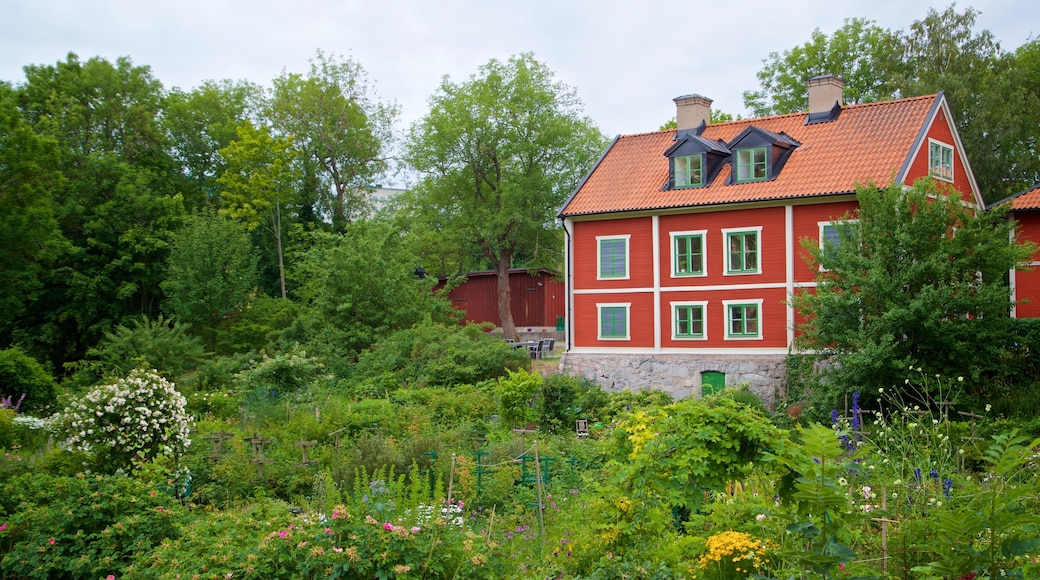 Langholmen showing a garden, wildflowers and a house