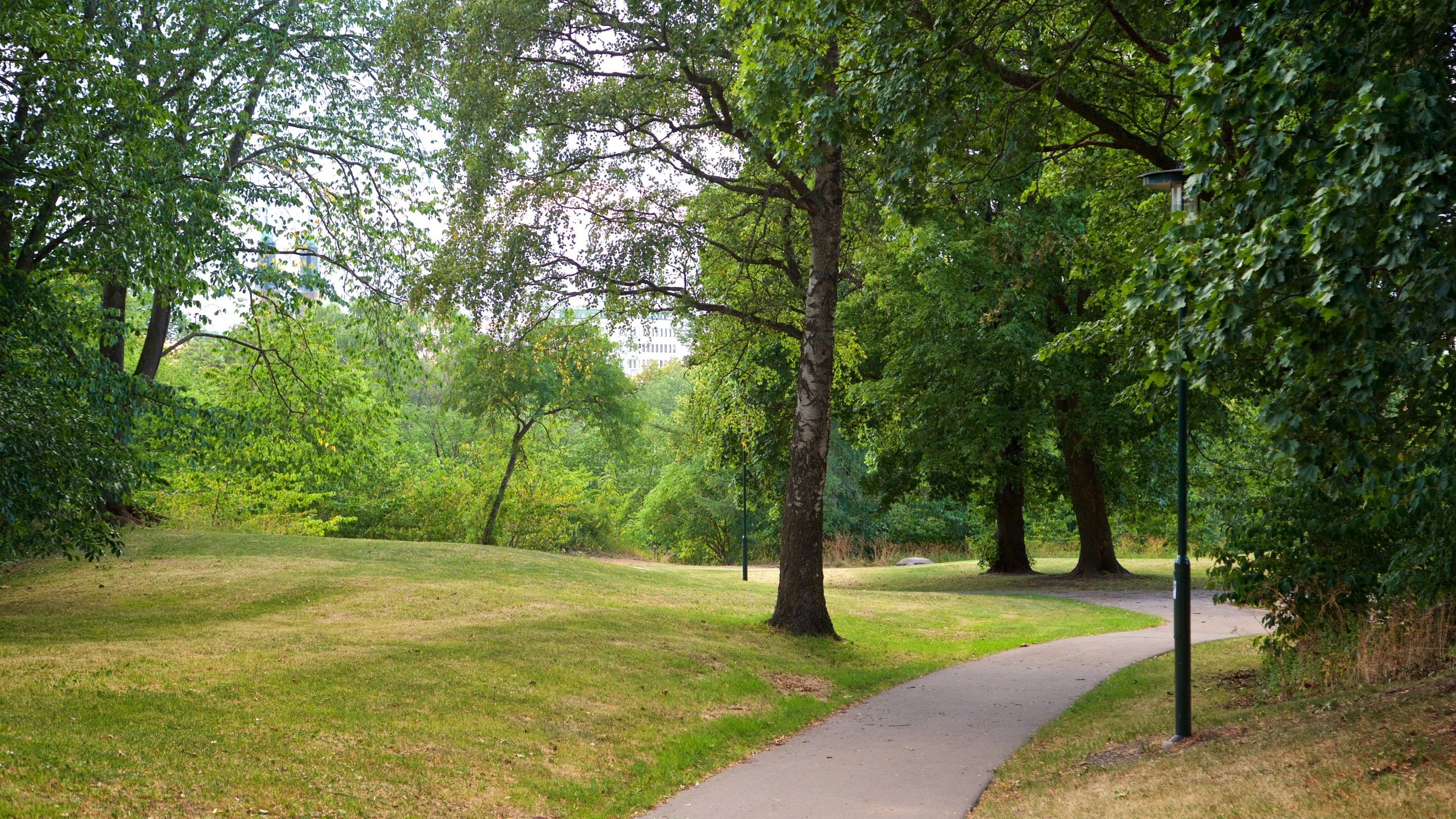 Tantolundenin puisto