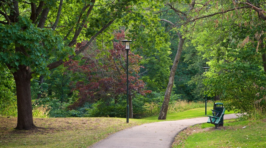 Tantolundenin puisto