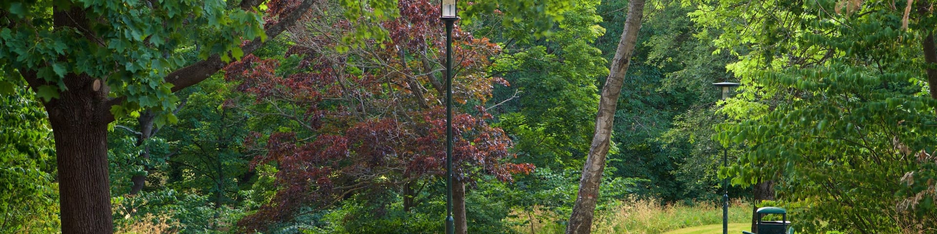 Tantolunden Park which includes a garden