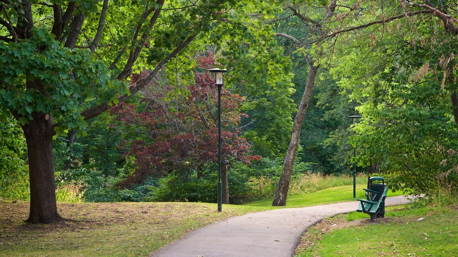 Parque Tantolunden