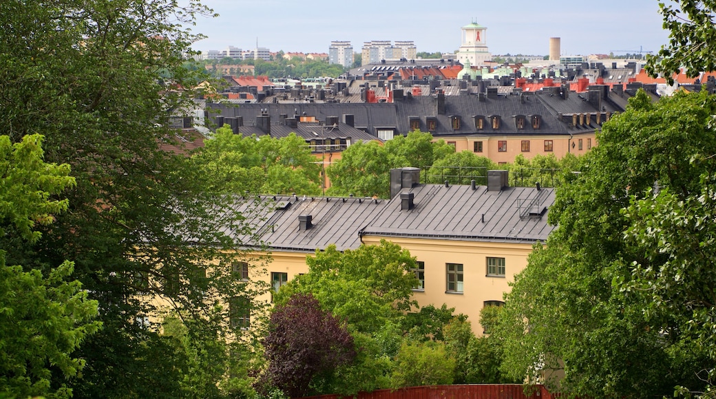 Vitabergsparken Park