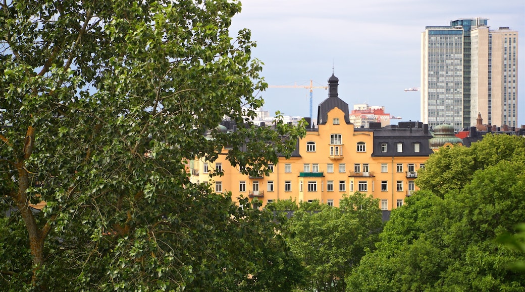 Vitabergsparken Park