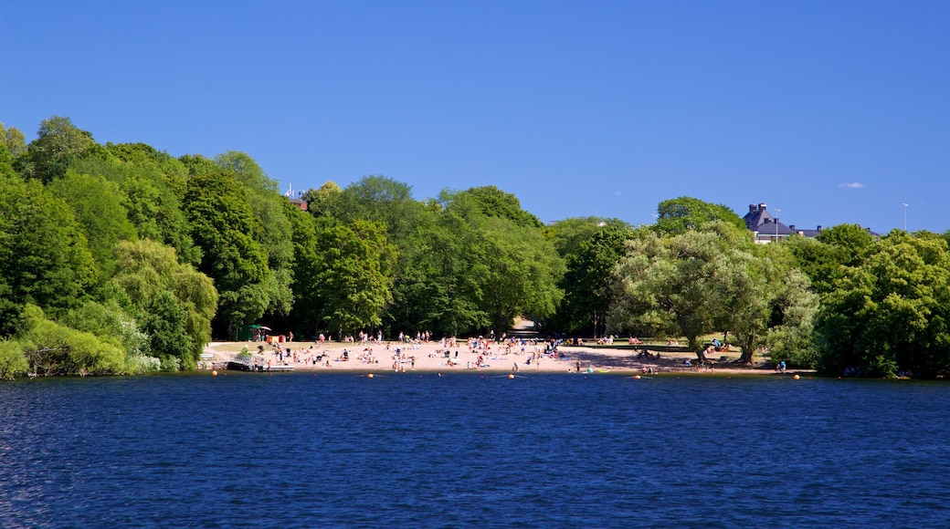 Spiaggia Smedsuddsbadet