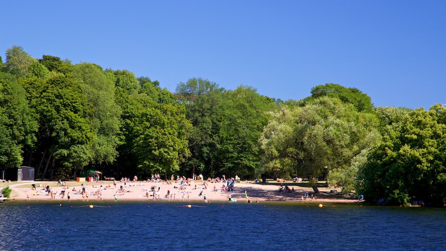 Spiaggia Smedsuddsbadet