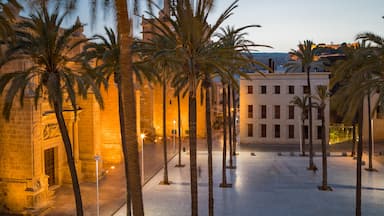 Almeria which includes night scenes and a square or plaza