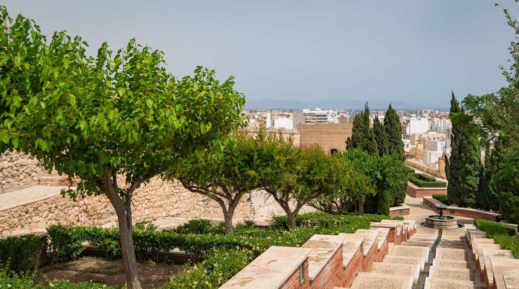 Alcazaba featuring a garden