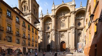 Granada Cathedral which includes a church or cathedral and heritage architecture